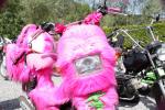 IMG_2779