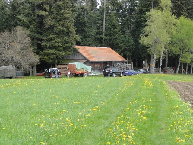 DSC02037