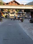 IMG-20220805-WA0069