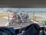 IMG-20220805-WA0131