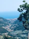IMG-20220805-WA0157